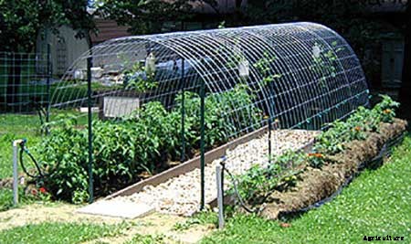 95 DIY Greenhouse Plans: Learn How To Build A Greenhouse