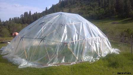 95 DIY Greenhouse Plans: Learn How To Build A Greenhouse