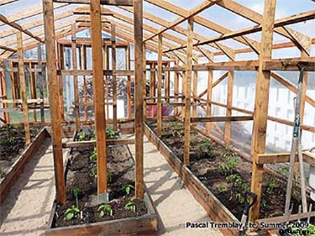95 DIY Greenhouse Plans: Learn How To Build A Greenhouse