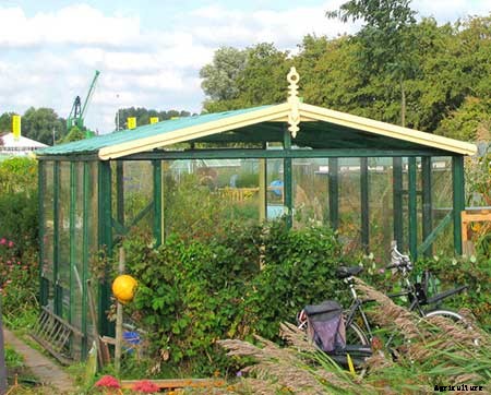 95 DIY Greenhouse Plans: Learn How To Build A Greenhouse