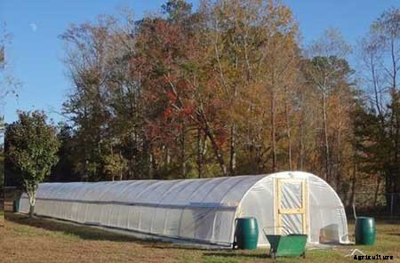 95 DIY Greenhouse Plans: Learn How To Build A Greenhouse