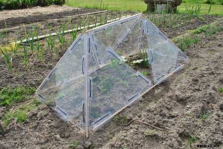95 DIY Greenhouse Plans: Learn How To Build A Greenhouse