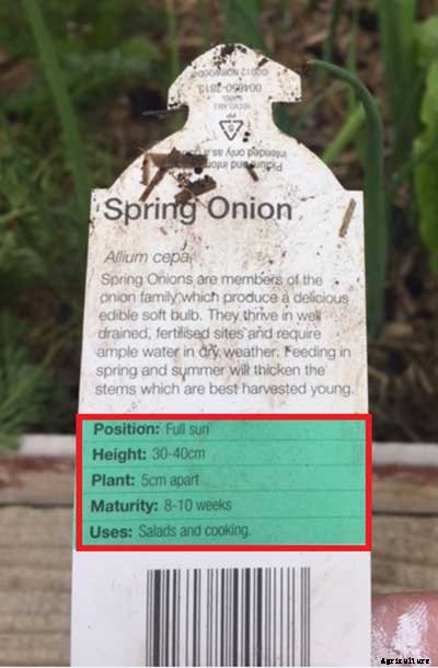 Plant Labels: How to Make Sense Of Them