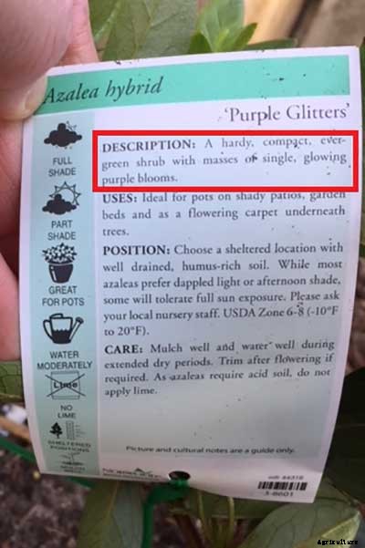 Plant Labels: How to Make Sense Of Them