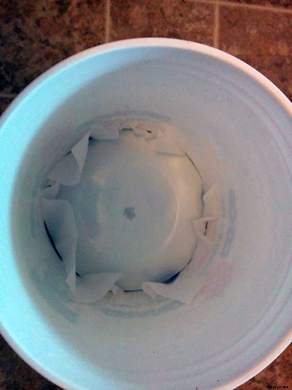 Bokashi Compost Buckets: An Easy DIY Method