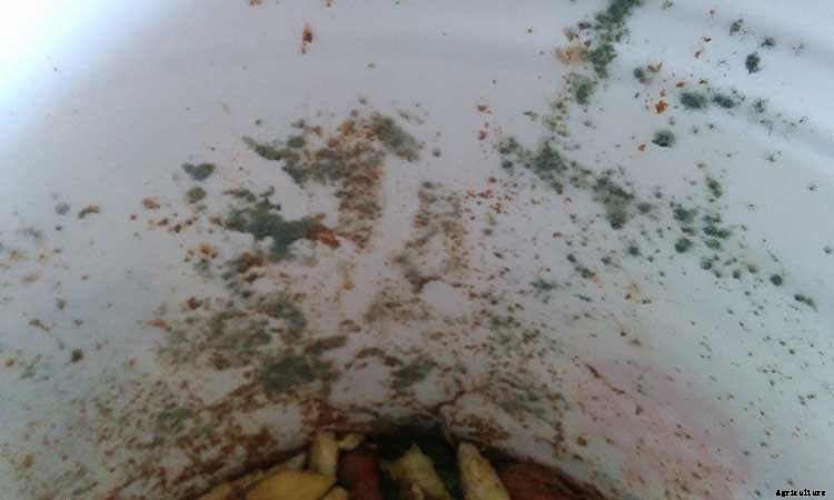 Bokashi Compost Buckets: An Easy DIY Method