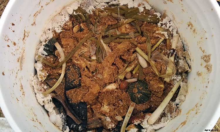 Bokashi Compost Buckets: An Easy DIY Method