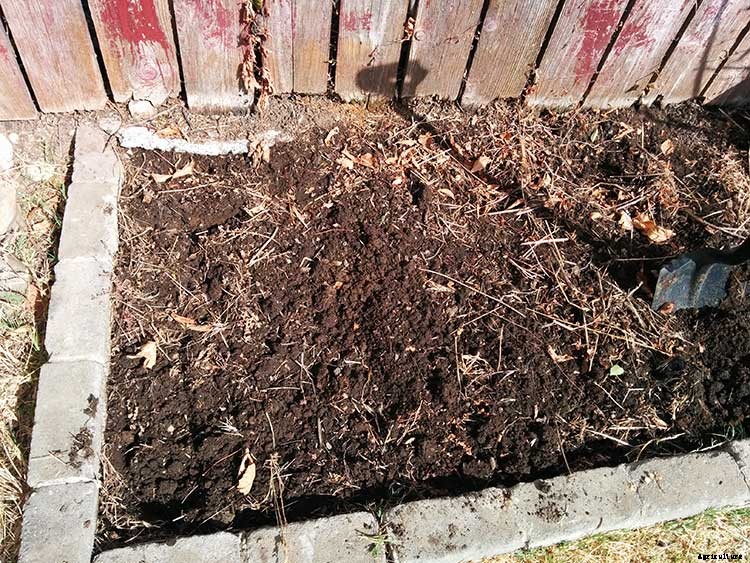 Bokashi Compost Buckets: An Easy DIY Method