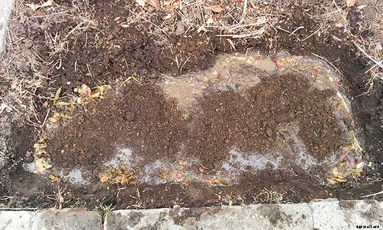 Bokashi Compost Buckets: An Easy DIY Method