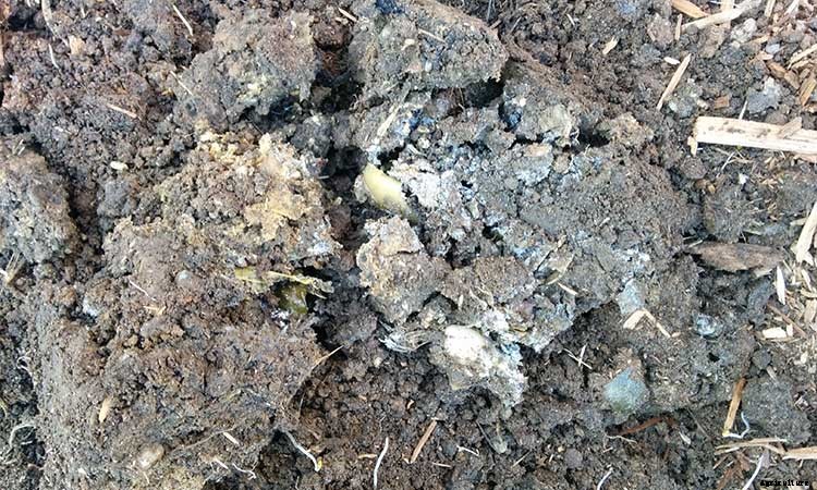 Bokashi Compost Buckets: An Easy DIY Method