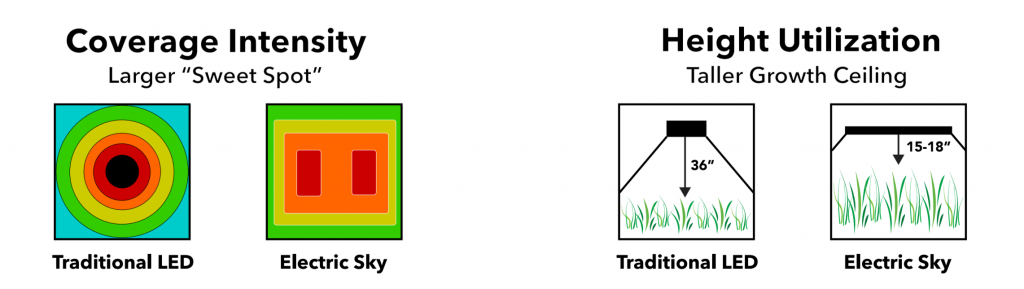 Electric Sky LEDs: The Next Generation of Grow Technology?
