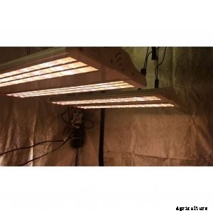 Electric Sky LEDs: The Next Generation of Grow Technology?