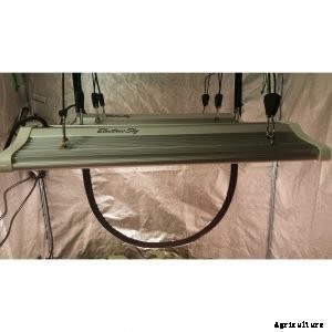 Electric Sky LEDs: The Next Generation of Grow Technology?