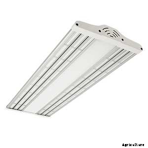 Electric Sky LEDs: The Next Generation of Grow Technology?