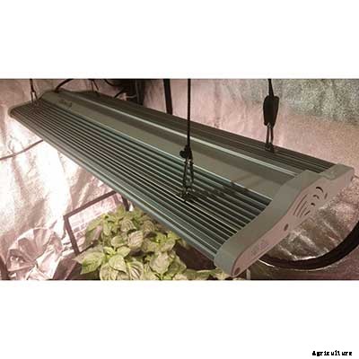 Electric Sky LEDs: The Next Generation of Grow Technology?