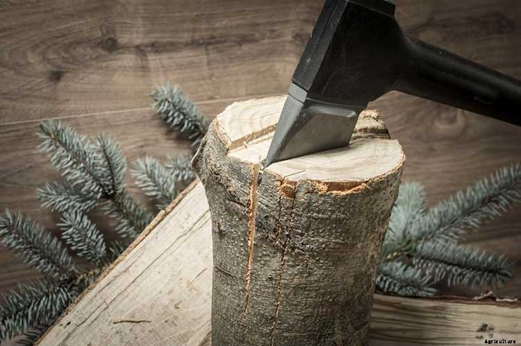 How to Make Firewood Logs from a Fallen Tree