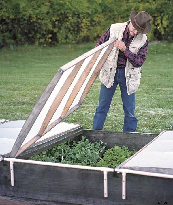 26 Cold Frame Plans For Your Winter Garden