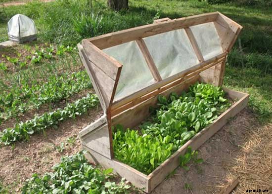 26 Cold Frame Plans For Your Winter Garden
