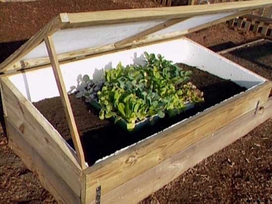 26 Cold Frame Plans For Your Winter Garden