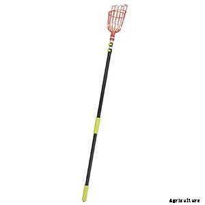 Fall Harvest: How To Pick And Store Apples For The Winter