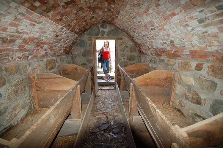 Fall Harvest: How To Pick And Store Apples For The Winter