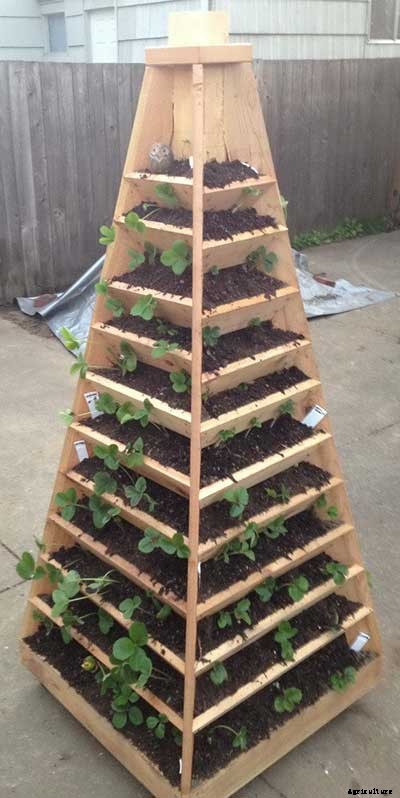 50+ Free Raised Bed Garden Plans And Ideas That Are Easy To Build