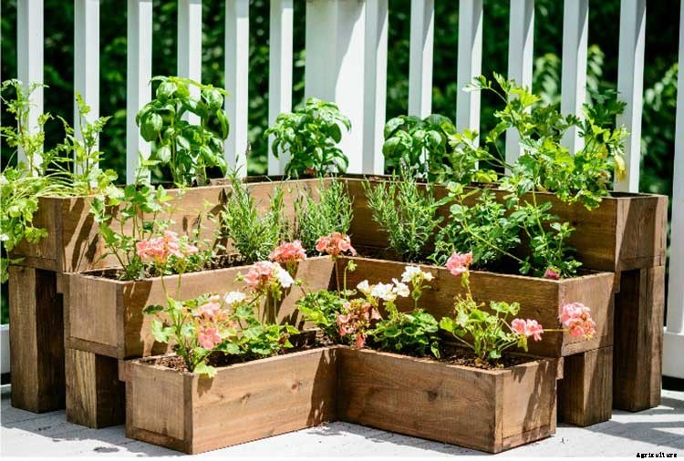 50+ Free Raised Bed Garden Plans And Ideas That Are Easy To Build