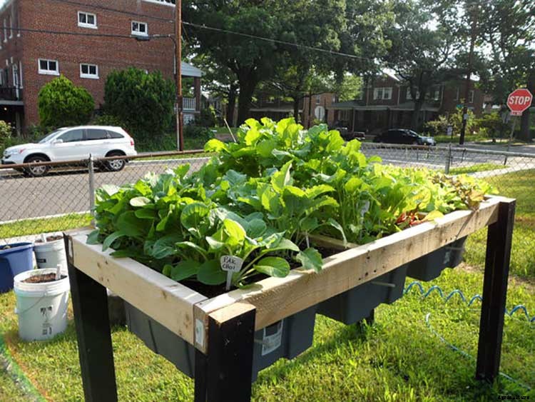 50+ Free Raised Bed Garden Plans And Ideas That Are Easy To Build