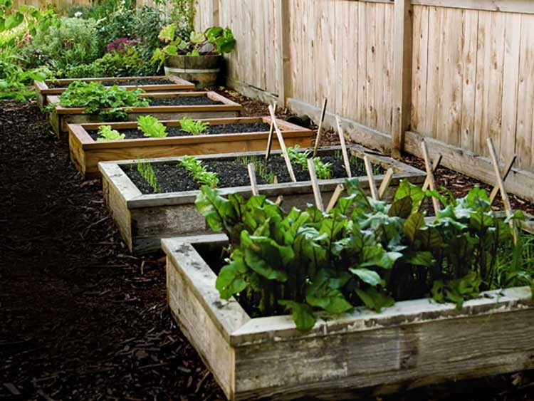 50+ Free Raised Bed Garden Plans And Ideas That Are Easy To Build