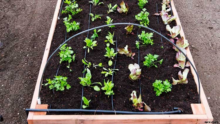 50+ Free Raised Bed Garden Plans And Ideas That Are Easy To Build