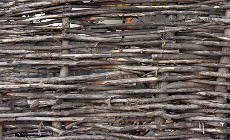 50+ Free Raised Bed Garden Plans And Ideas That Are Easy To Build