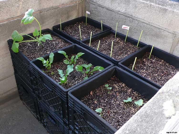 50+ Free Raised Bed Garden Plans And Ideas That Are Easy To Build