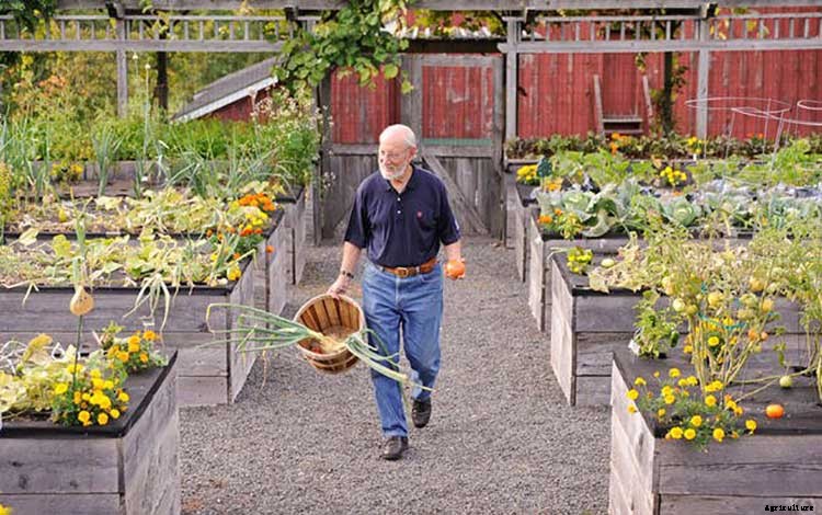 50+ Free Raised Bed Garden Plans And Ideas That Are Easy To Build