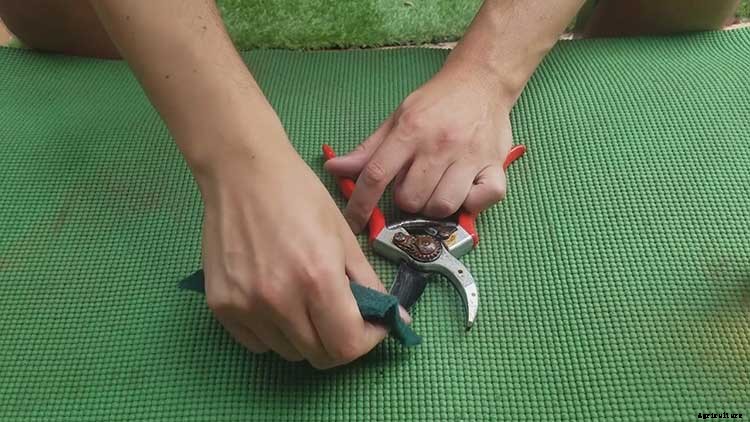 How to Remove Rust From Tools The Easiest Way