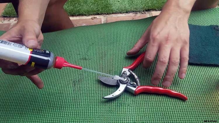 How to Remove Rust From Tools The Easiest Way