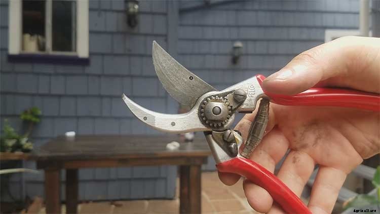 How to Remove Rust From Tools The Easiest Way