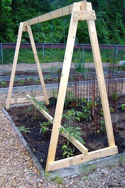 53 Tomato Trellis Designs (Completely Free)