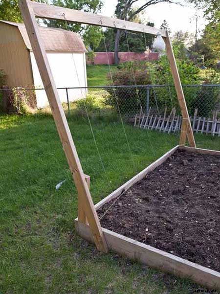 53 Tomato Trellis Designs (Completely Free)