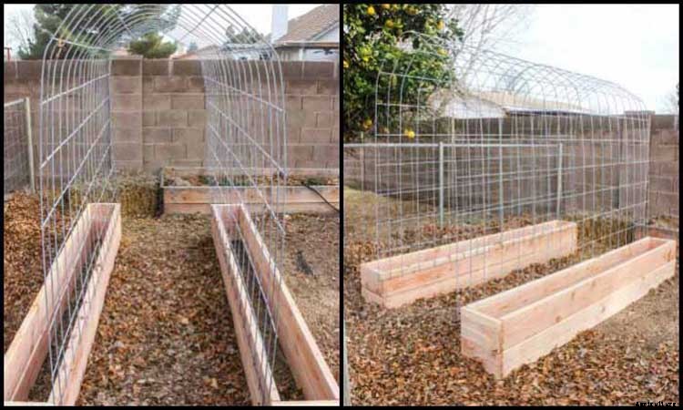 53 Tomato Trellis Designs (Completely Free)