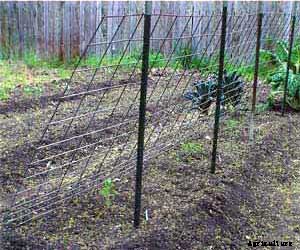 53 Tomato Trellis Designs (Completely Free)