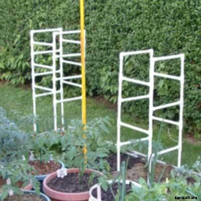 53 Tomato Trellis Designs (Completely Free)