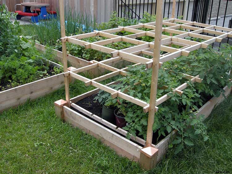 53 Tomato Trellis Designs (Completely Free)