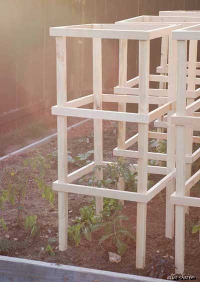 53 Tomato Trellis Designs (Completely Free)