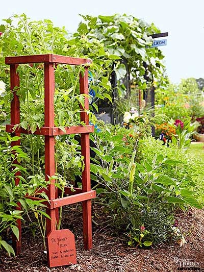 53 Tomato Trellis Designs (Completely Free)