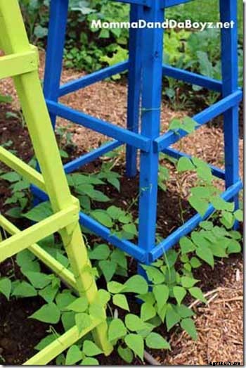 53 Tomato Trellis Designs (Completely Free)