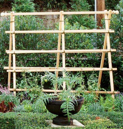 53 Tomato Trellis Designs (Completely Free)