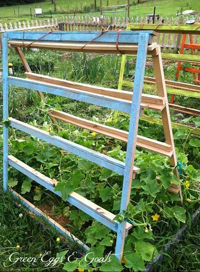 53 Tomato Trellis Designs (Completely Free)
