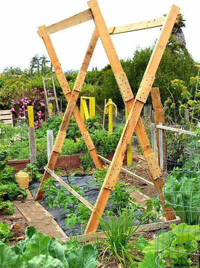 53 Tomato Trellis Designs (Completely Free)
