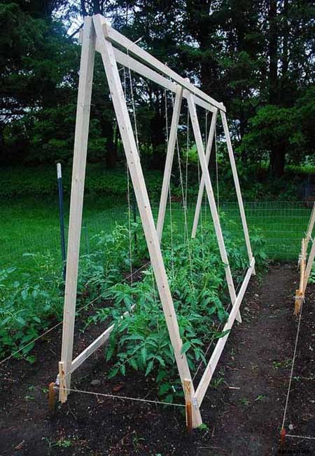 53 Tomato Trellis Designs (Completely Free)