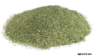 21+ Organic Fertilizers and How To Use Them In Your Garden